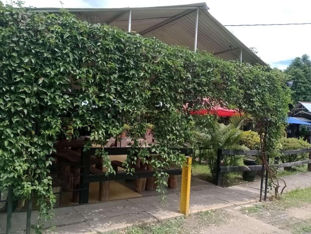Loma Linda Hotel De Naturaleza La Mesa  Dış mekan fotoğraf